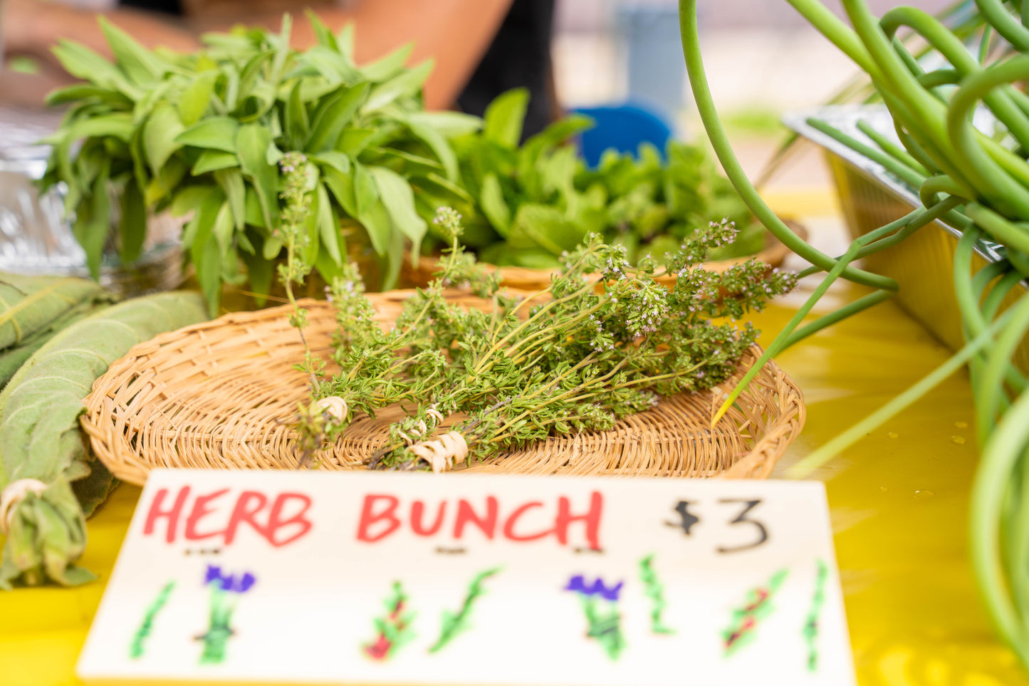 Herbs - Thyme Bunch